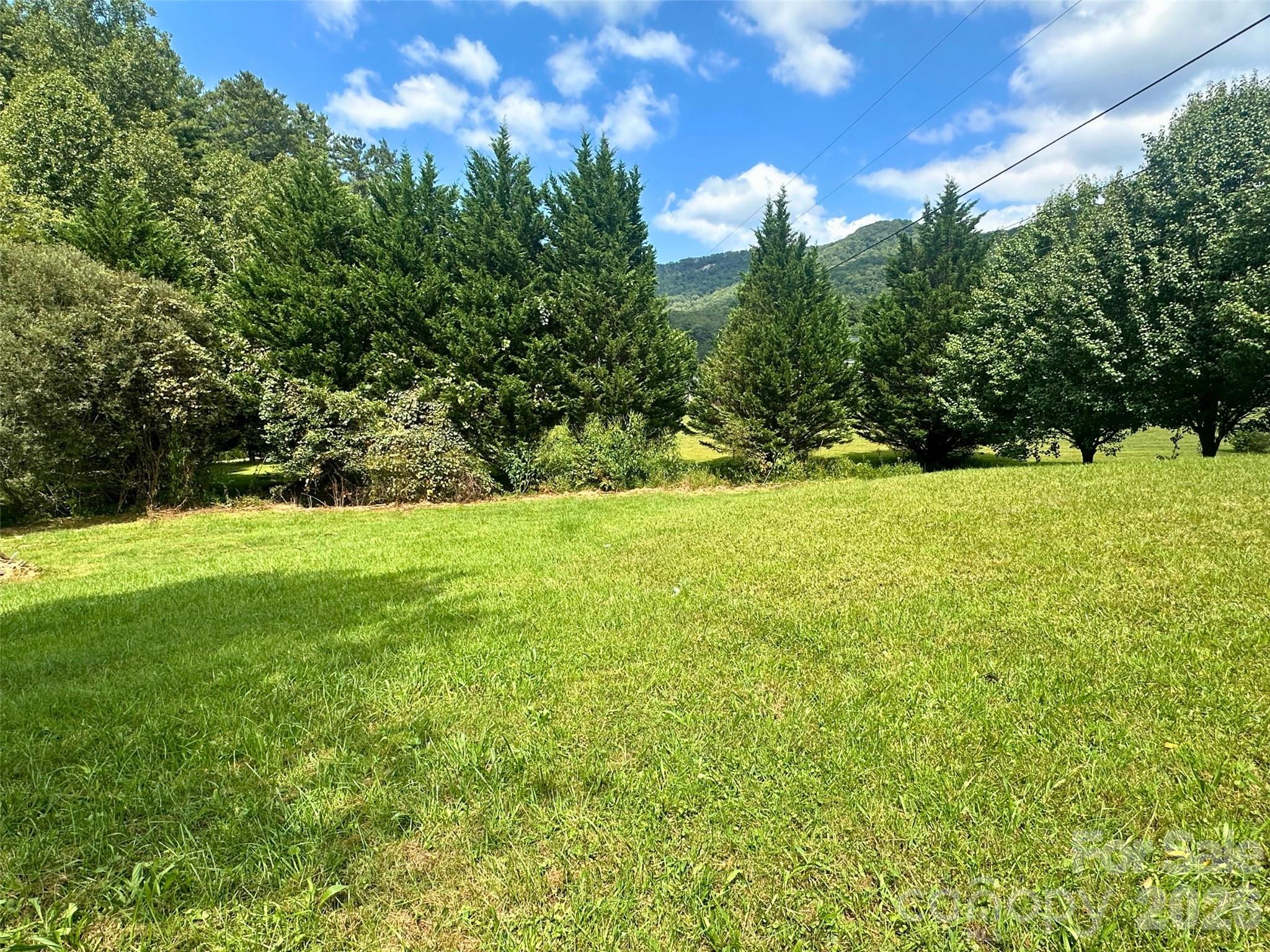 104 Old Fort Road Fairview, NC 28730 - Photo 15 of 17 a view of green field with trees in the background