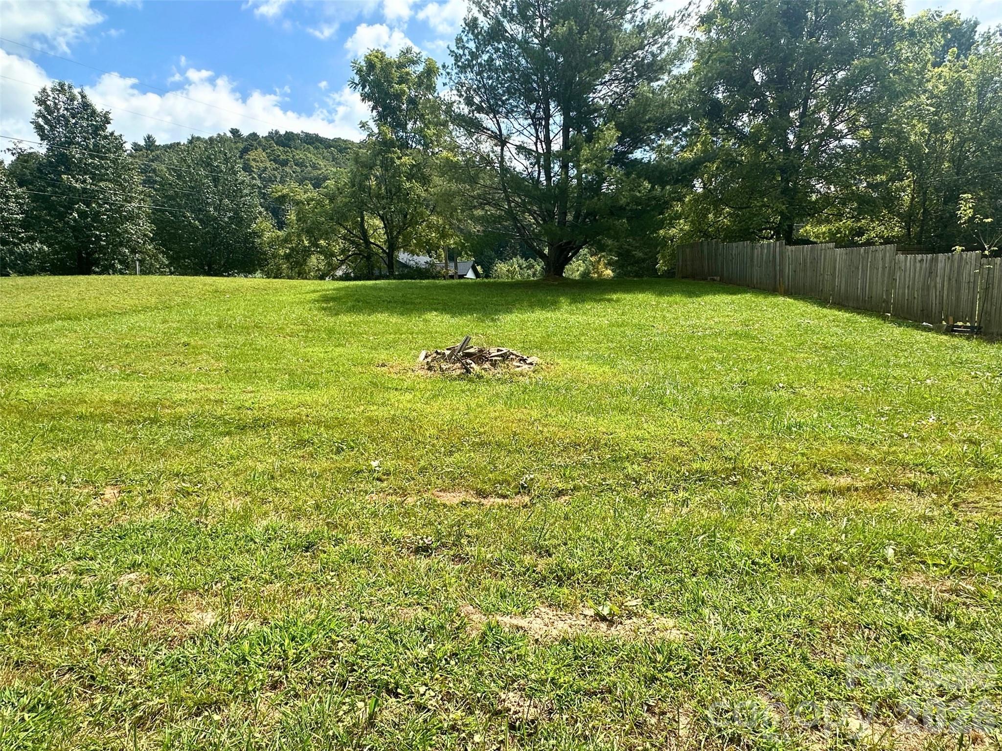 104 Old Fort Road Fairview, NC 28730 - Photo 3 of 17 a view of a yard with a tree