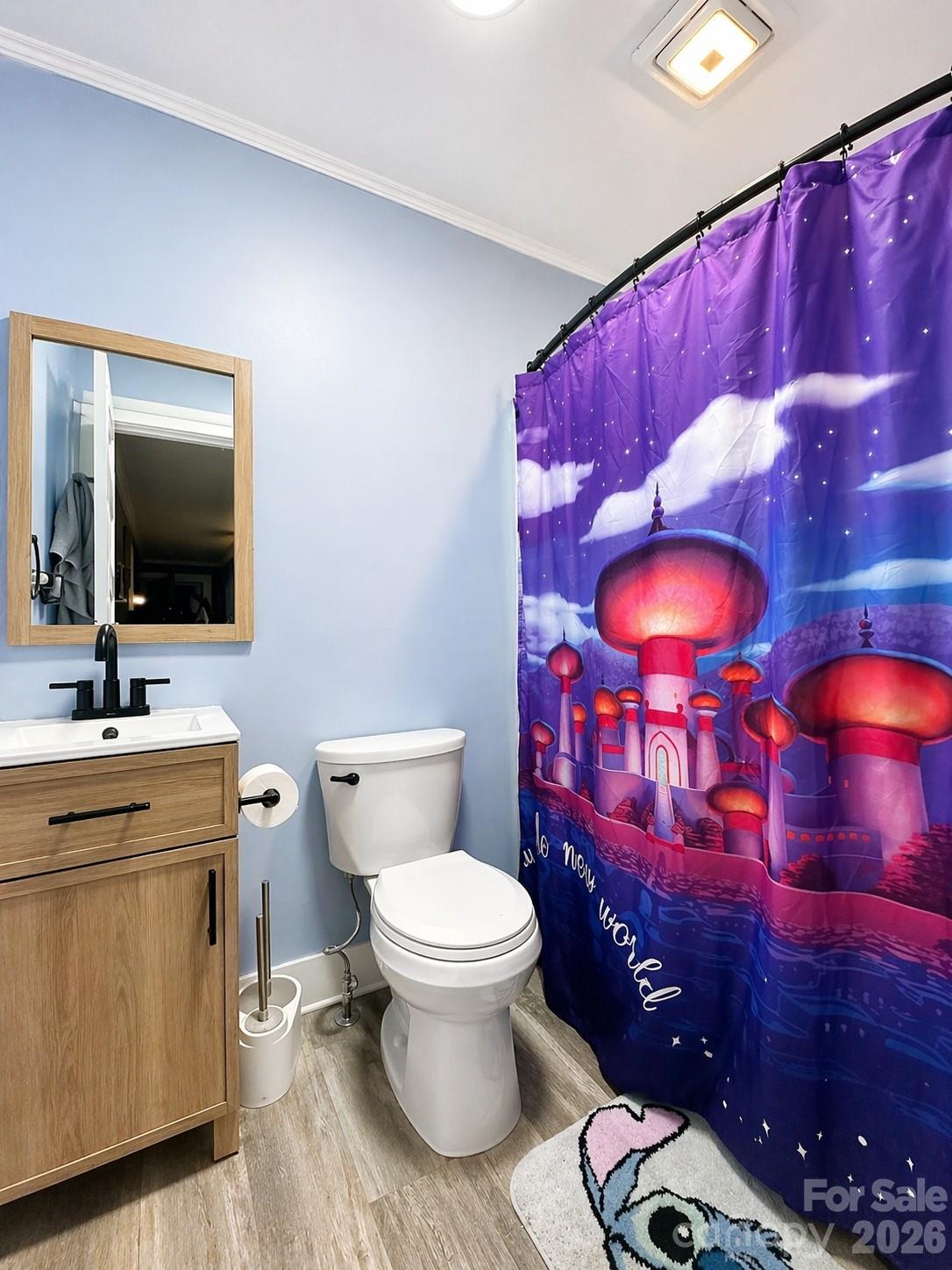 104 Old Fort Road Fairview, NC 28730 - Photo 10 of 17 a bathroom with a toilet sink and mirror