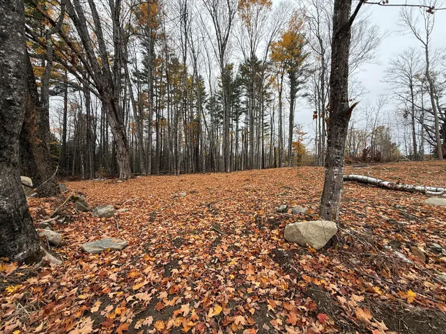 $385,000 | M15-l16-1 M15-l16-1 Oldham Road, St. Albans, ME 04971