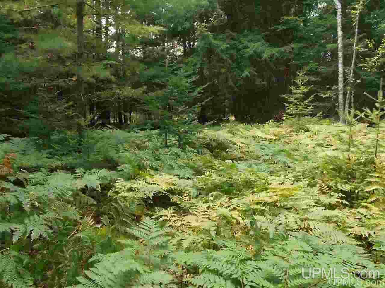2563 N Rice Road Gulliver, MI 49840 - Photo 8 of 27