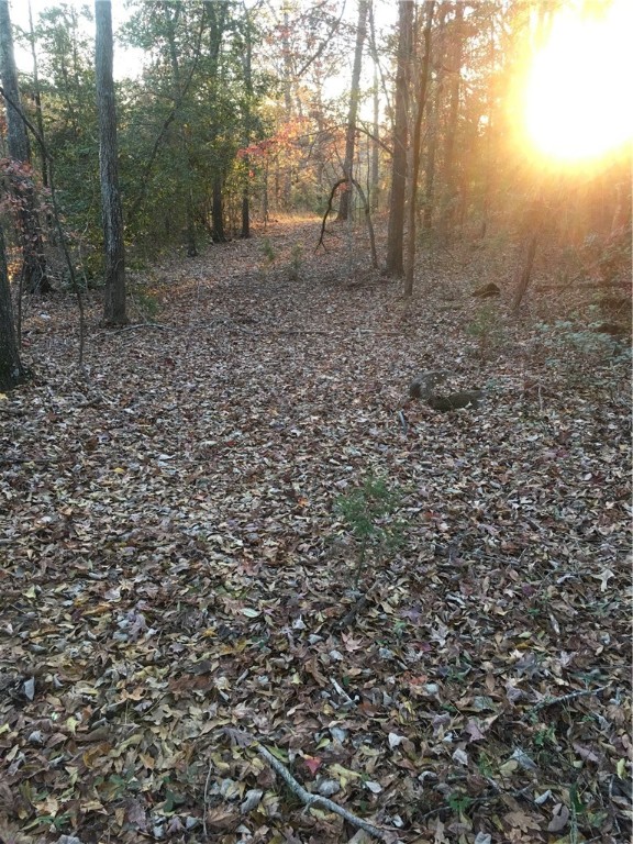 522 Lakeside Drive Anderson, SC 29621 - Photo 2 of 10 Cozy spot in the woods for the perfect dream home.