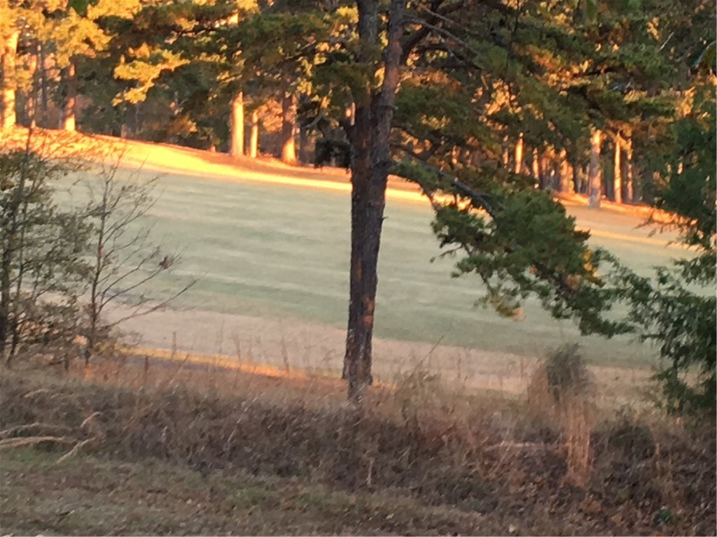 522 Lakeside Drive Anderson, SC 29621 - Photo 5 of 10 Golf Course view across the way from the property