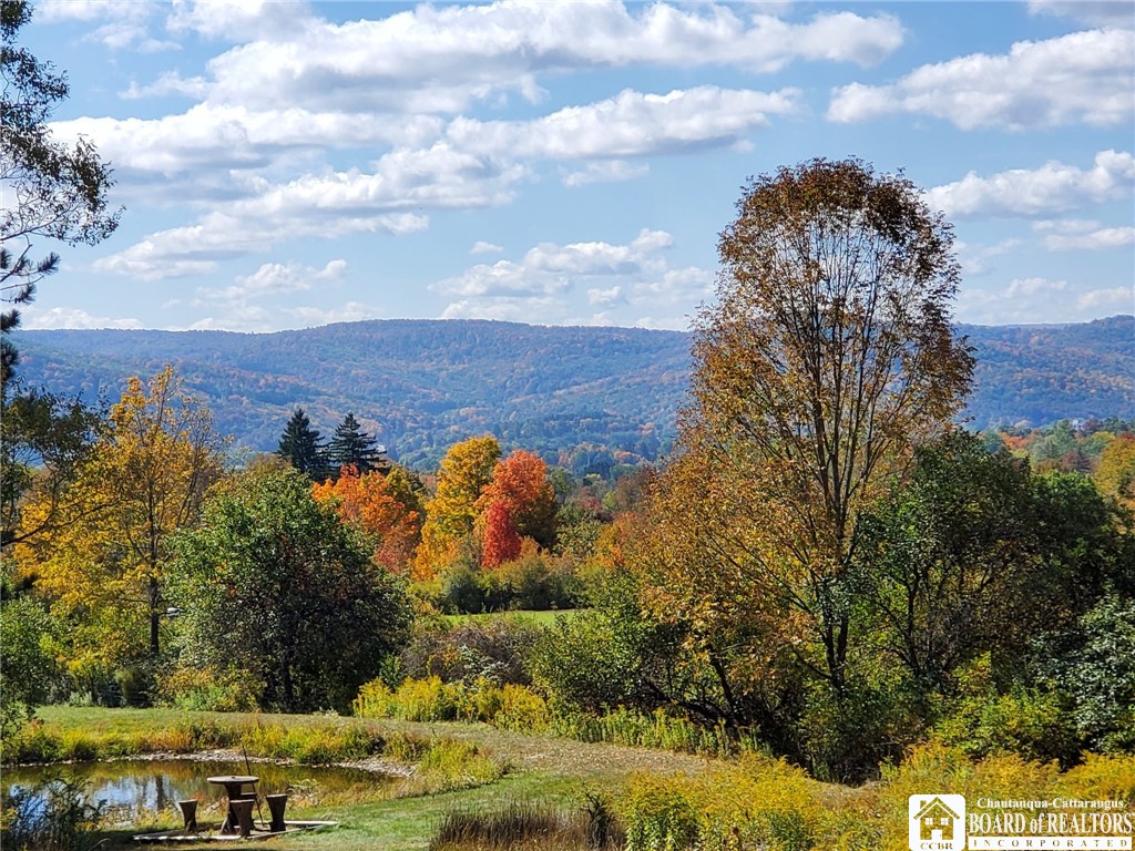 1744 Windfall Road Olean, NY 14760 - Photo 35 of 48