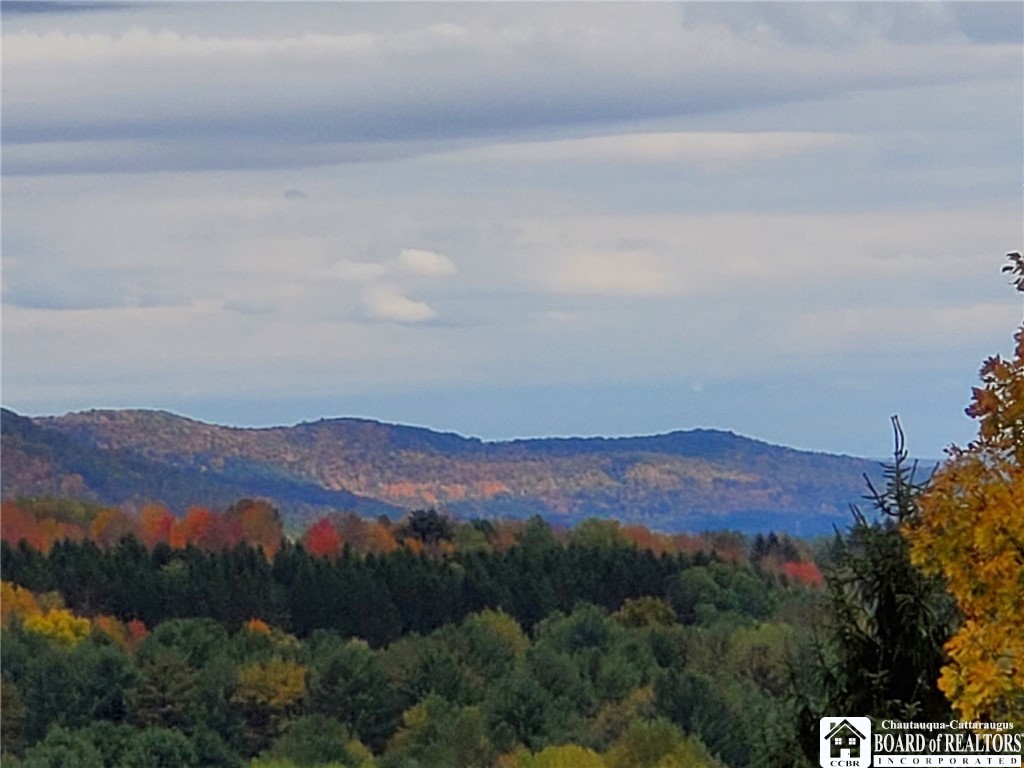 1744 Windfall Road Olean, NY 14760 - Photo 36 of 48