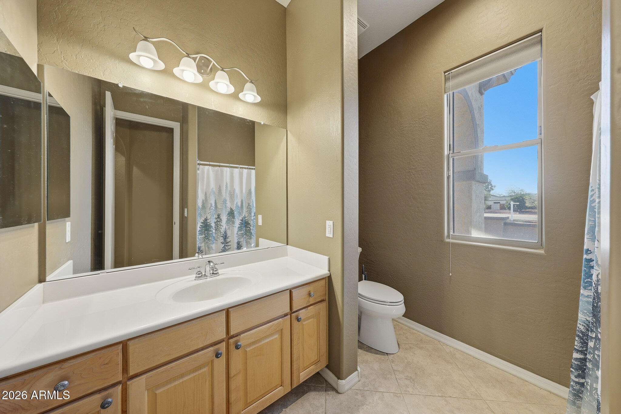23024 West Sierra Ridge Way Wittmann, AZ 85361 - Photo 9 of 99 a bathroom with a sink vanity and a toilet