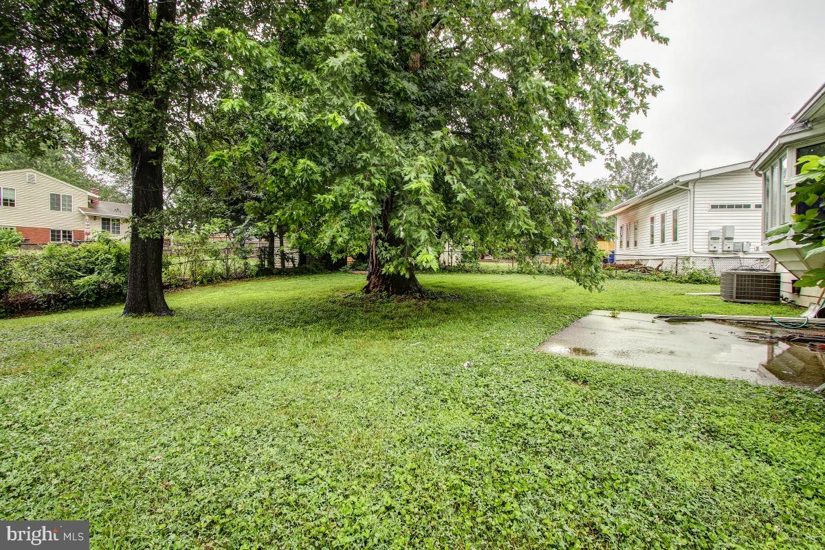 11814 Selfridge Road Silver Spring, MD 20906 - Photo 28 of 29 Backyard