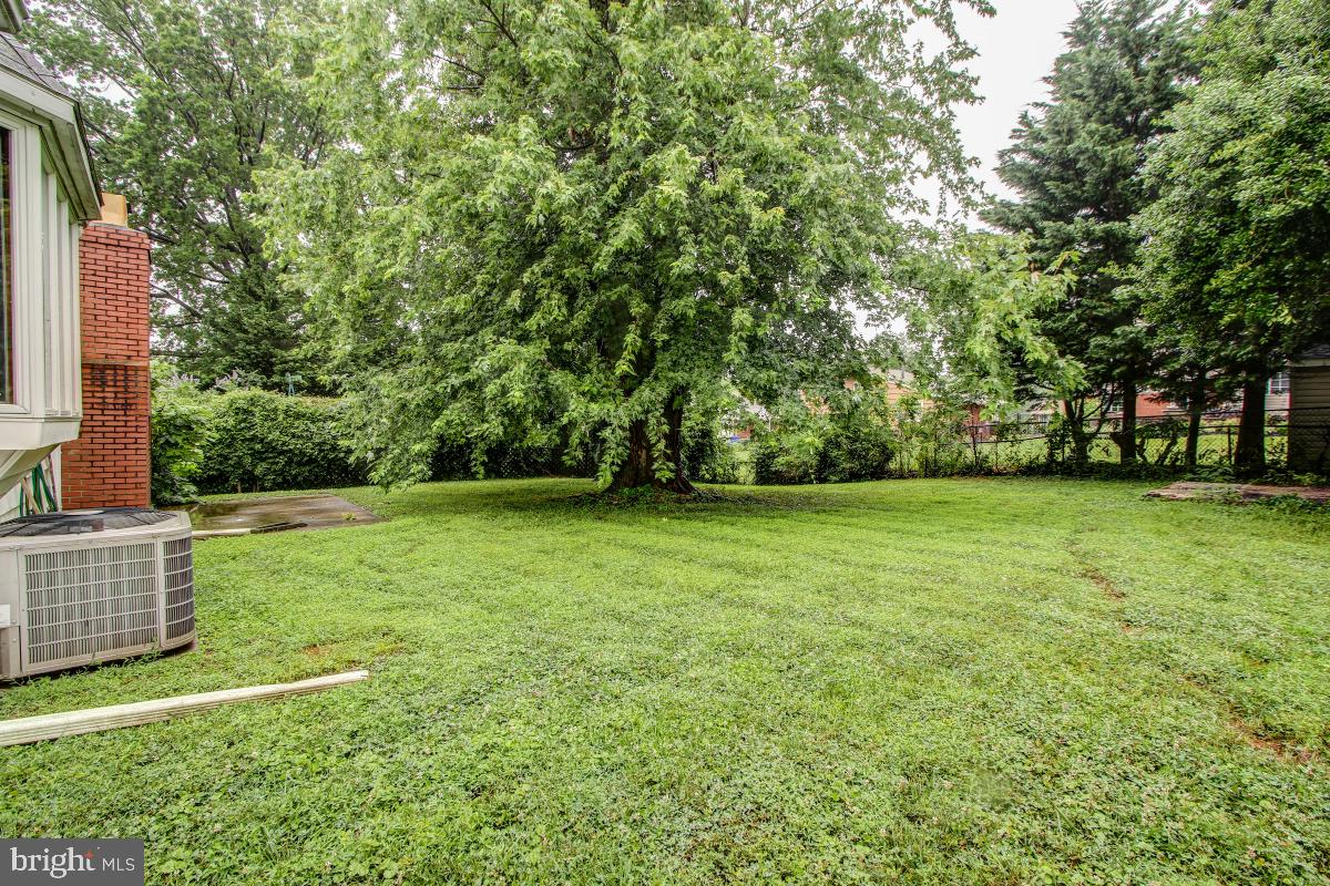 11814 Selfridge Road Silver Spring, MD 20906 - Photo 29 of 29