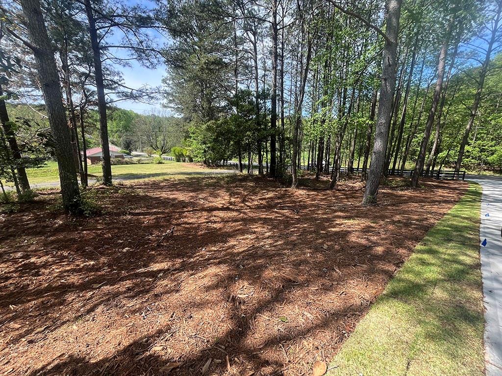 2200 Upper Burris Road Ball Ground, GA 30107 - Photo 6 of 79 a view of outdoor space with trees