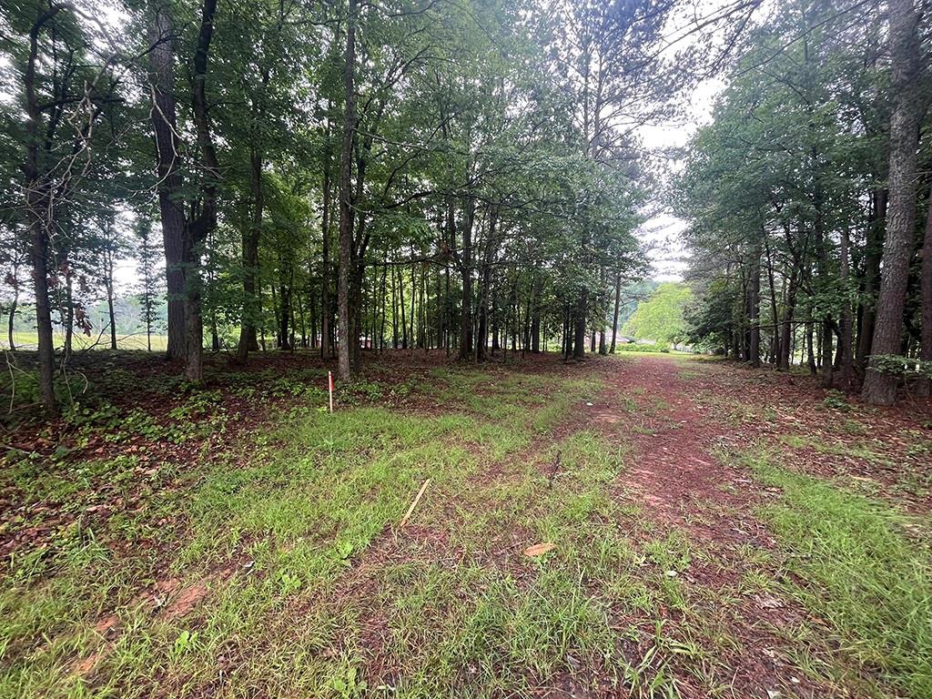 2200 Upper Burris Road Ball Ground, GA 30107 - Photo 67 of 79 a backyard of a house with lots of green space