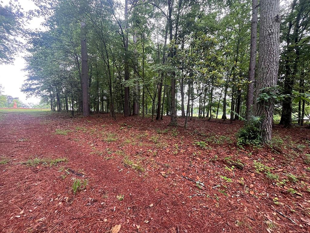 2200 Upper Burris Road Ball Ground, GA 30107 - Photo 68 of 79 a view of a forest with trees in the background