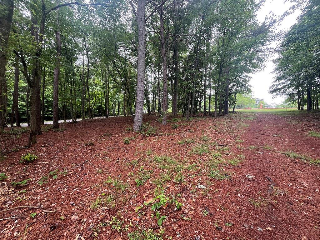 2200 Upper Burris Road Ball Ground, GA 30107 - Photo 69 of 79 a view of a yard with trees