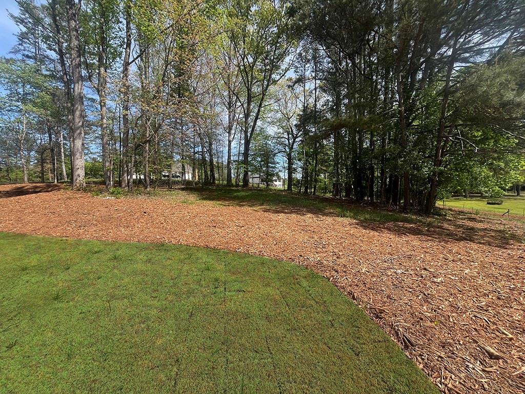 2200 Upper Burris Road Ball Ground, GA 30107 - Photo 10 of 79