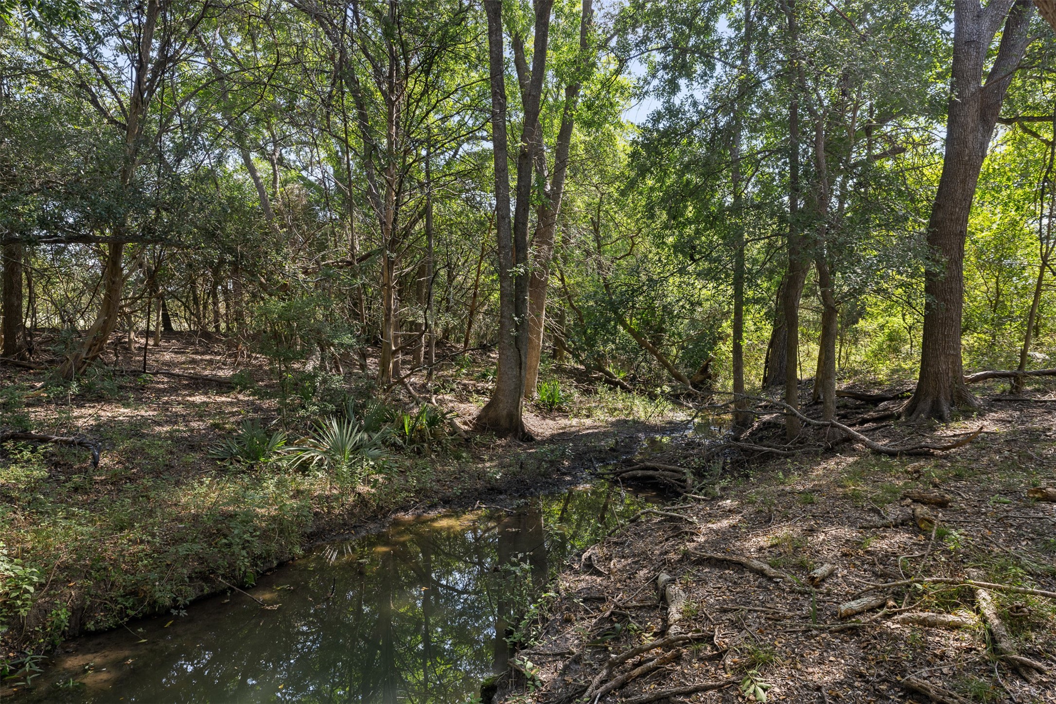 Tbd Roznov Road Round Top, TX 78954 - Photo 8 of 36 Gallery Image 8