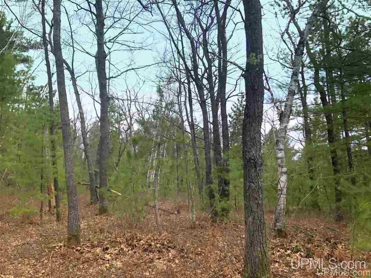 Tbd Valley Road Marquette, MI 49855 - Photo 22 of 59
