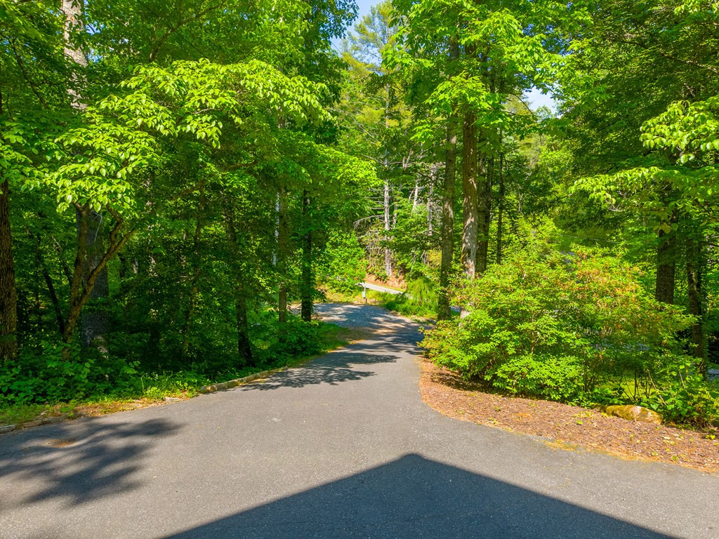 171 High Splendor Drive Robbinsville, NC 28771 - Photo 53 of 62