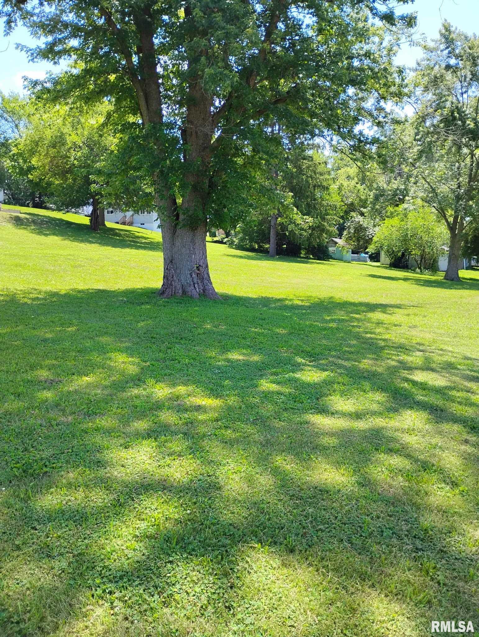 351 South Ave D Canton, IL 61520 - Photo 2 of 9