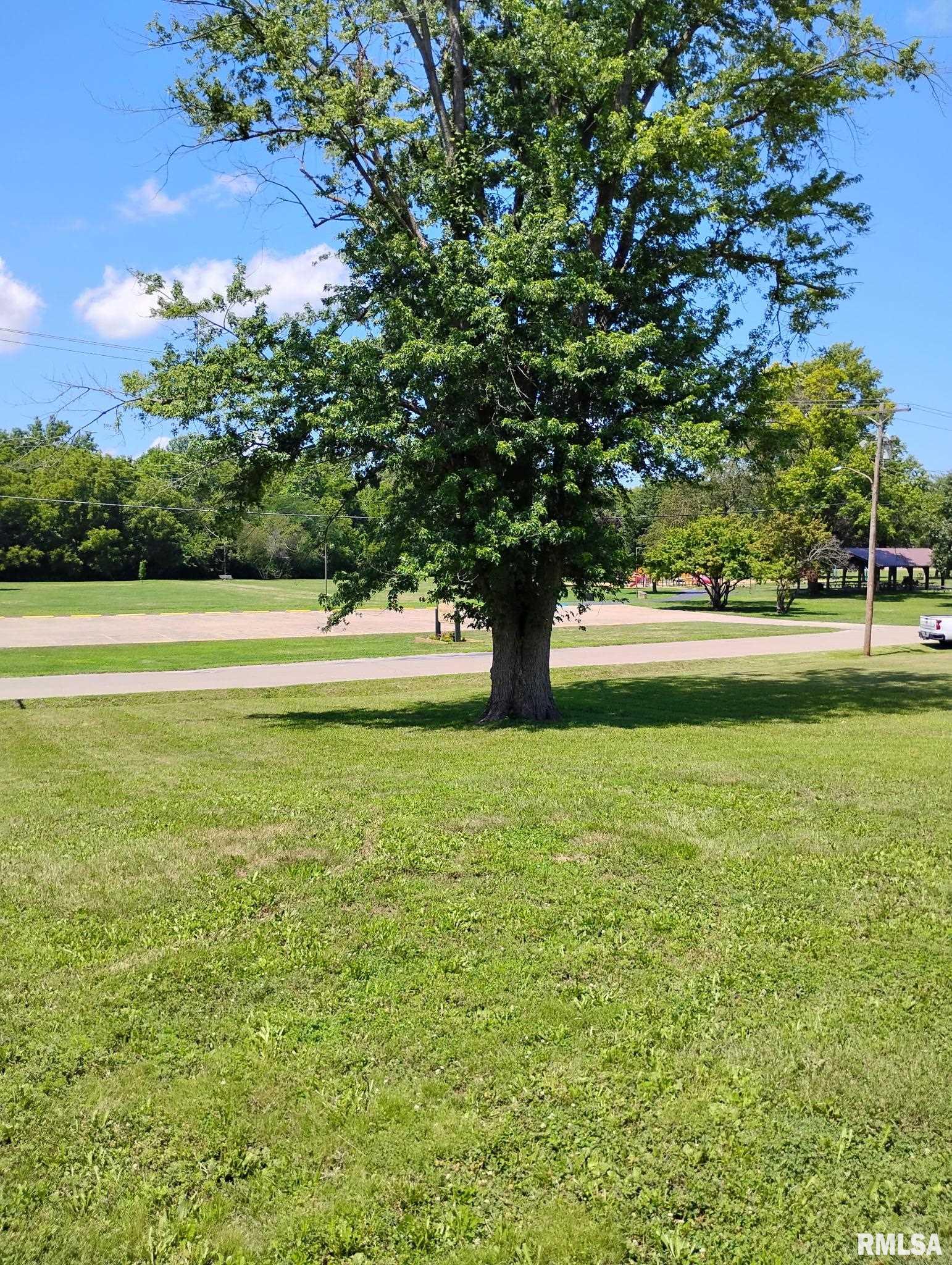 351 South Ave D Canton, IL 61520 - Photo 6 of 9