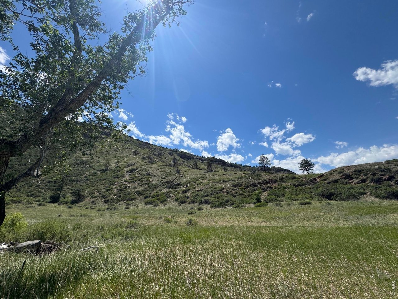 1115 Vision Way Lyons, CO 80540 - Photo 18 of 32 Meadow by the River