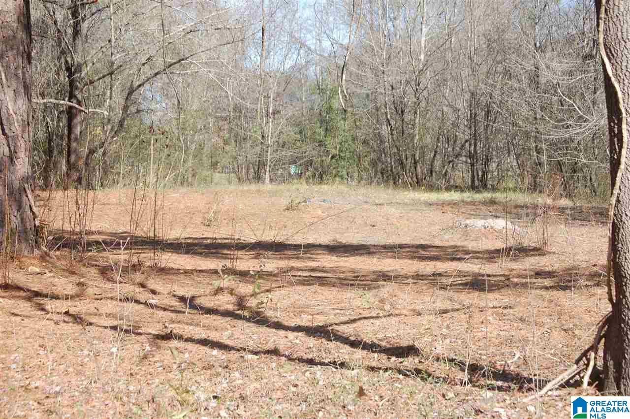 0 Carleton Point, Unit 12 Wilsonville, AL 35186 - Photo 10 of 13