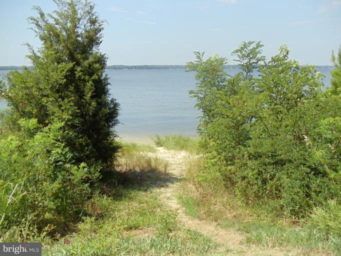 7250 Mackall Road St. Leonard, MD 20685 - Photo 22 of 27 a view of a garden