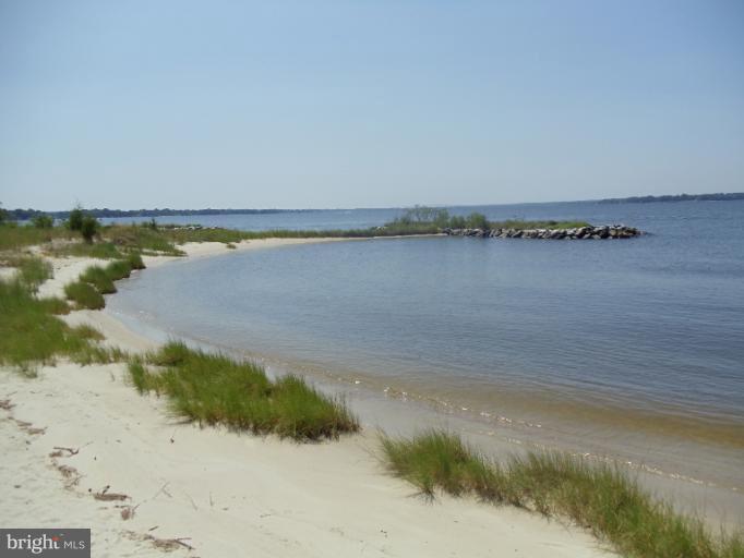 7250 Mackall Road St. Leonard, MD 20685 - Photo 26 of 27 a view of a lake with a beach