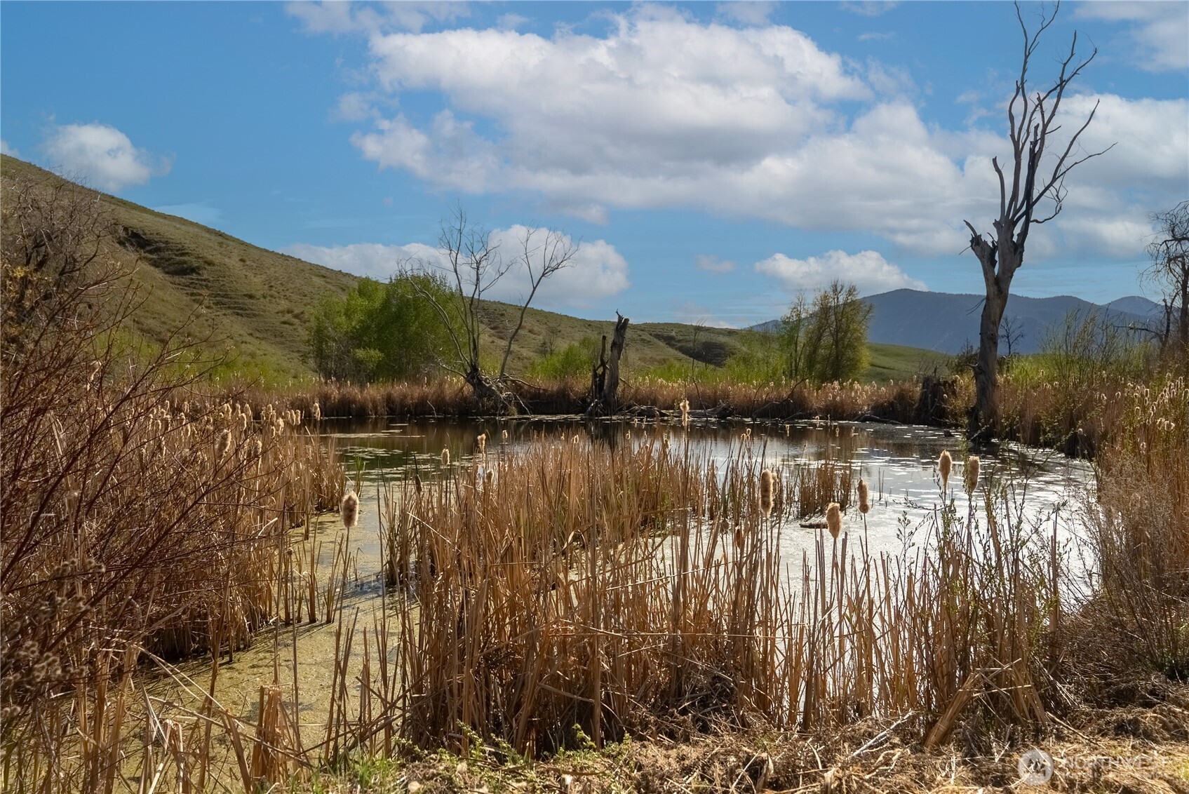 20752 State Rte 20 Twisp, WA 98856 - Photo 26 of 35
