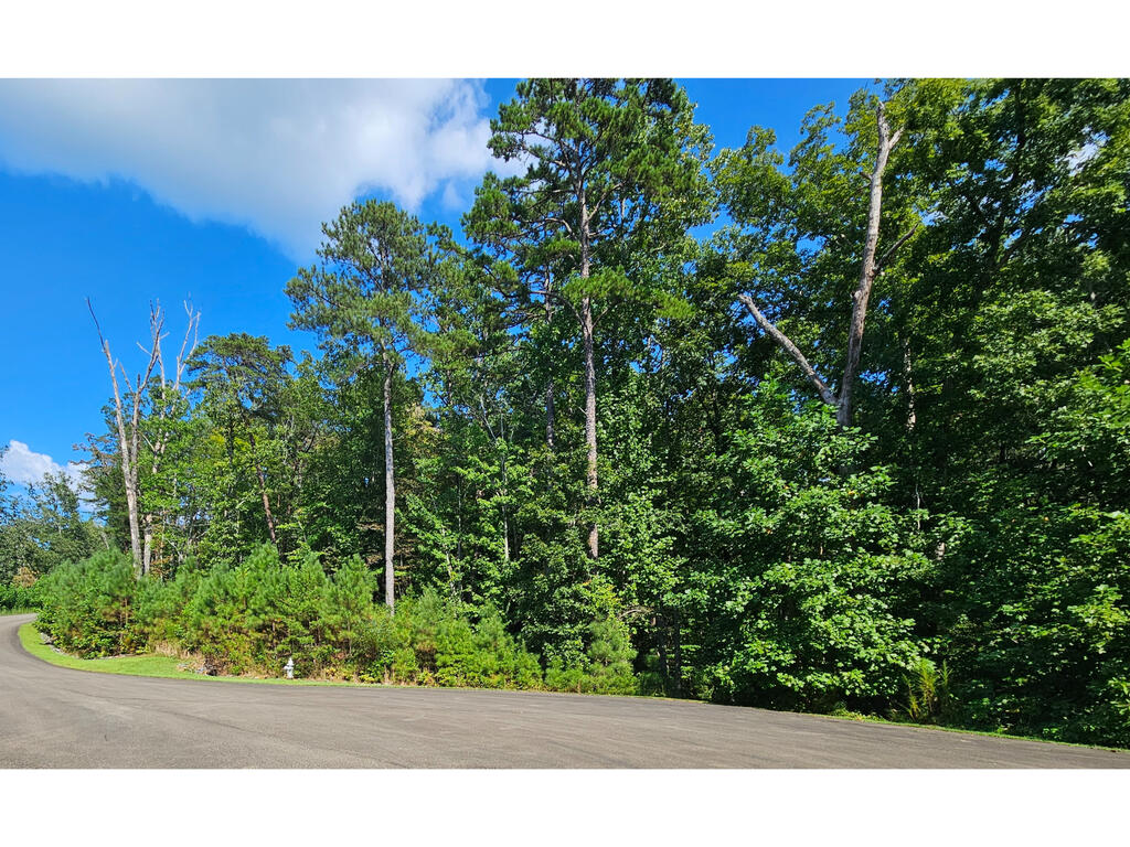 241 Carter Road, Unit 241 Ellijay, GA 30536 - Photo 13 of 19 Front corner of lot, Wooded property with mature trees and natural foliage