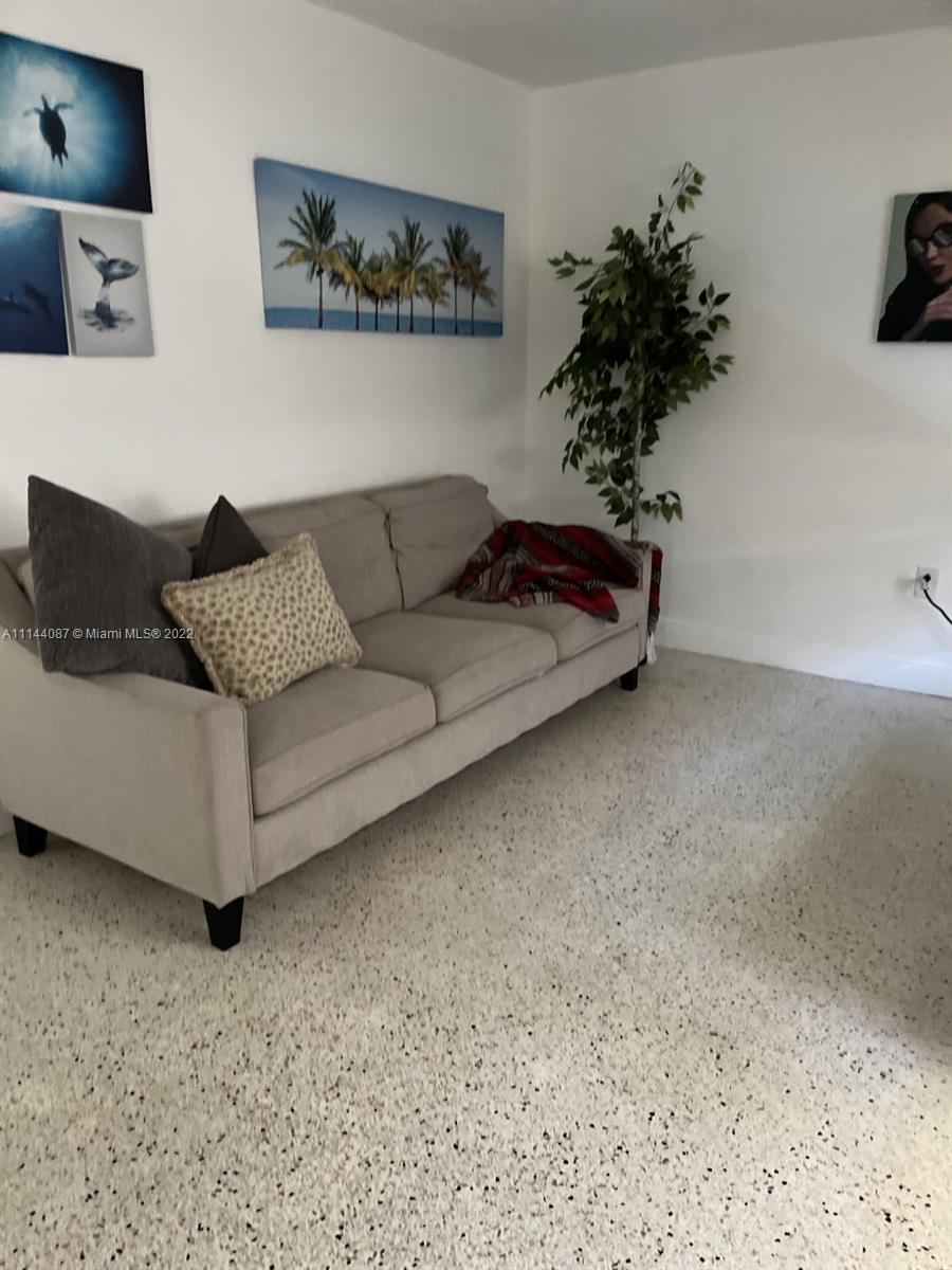 442 Southwest 9th Street, Unit 3 Miami, FL 33130 - Photo 7 of 10 a living room with furniture and a potted plant