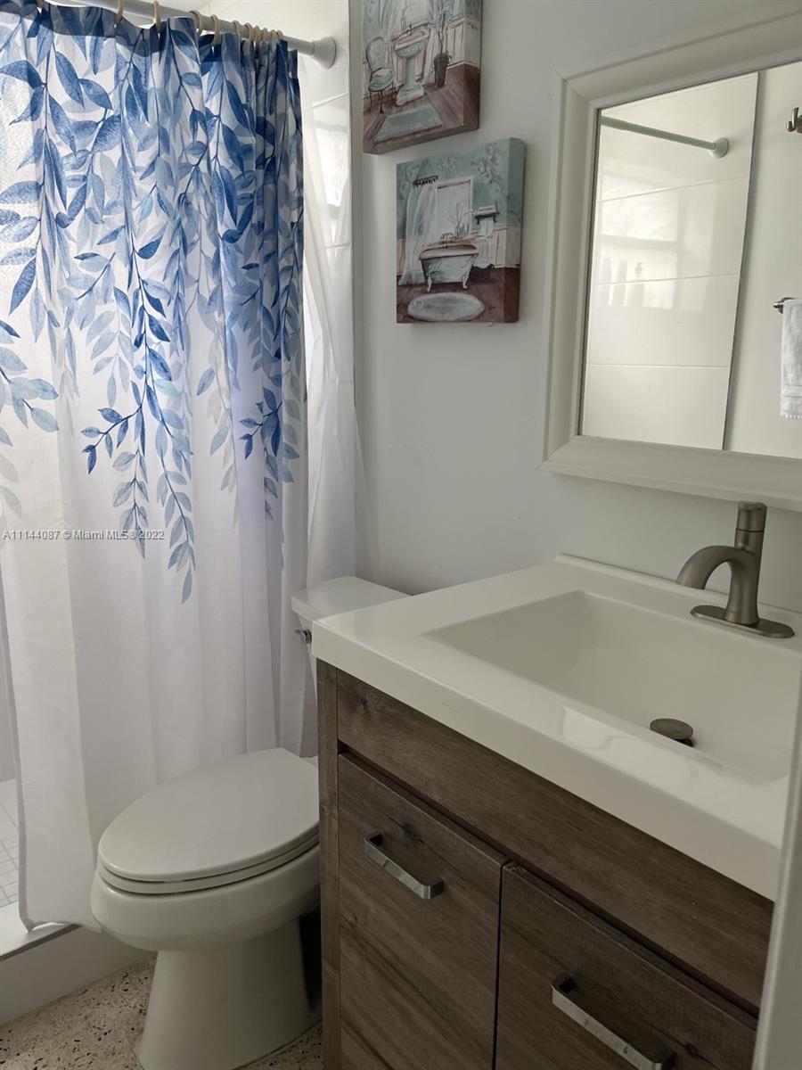 442 Southwest 9th Street, Unit 3 Miami, FL 33130 - Photo 8 of 10 a bathroom with a sink a toilet and shower curtain