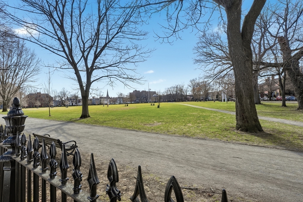 96 Washington Square East, Unit 2 Salem, MA 01970 - Photo 32 of 40 a view of a park with large trees
