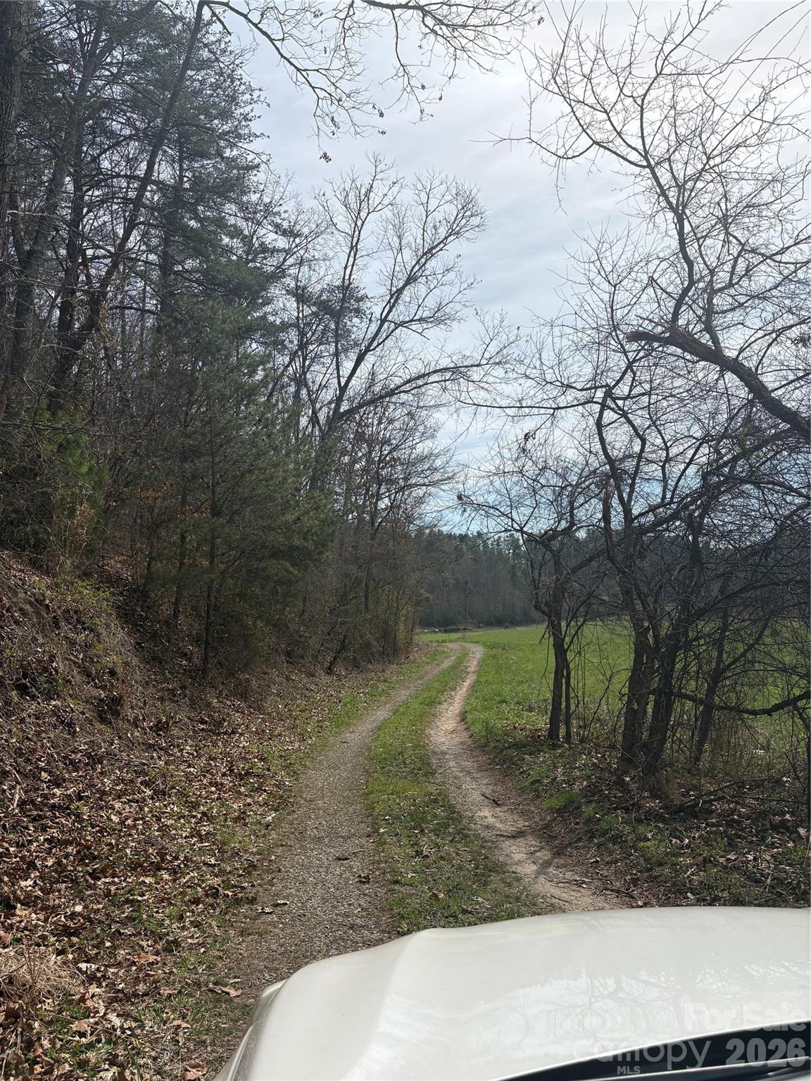 242-area Radford Road, Unit 1 Mars Hill, NC 28754 - Photo 2 of 3 a view of a yard with a tree