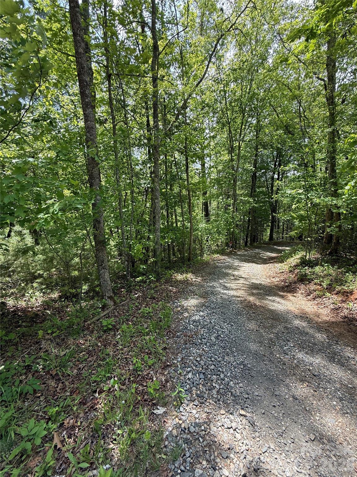 242-area Radford Road, Unit 1 Mars Hill, NC 28754 - Photo 6 of 6 a view of outdoor space and trees