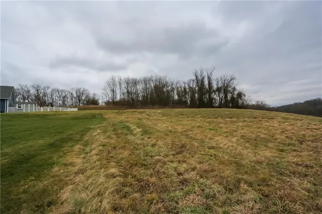 a view of a field with trees in background