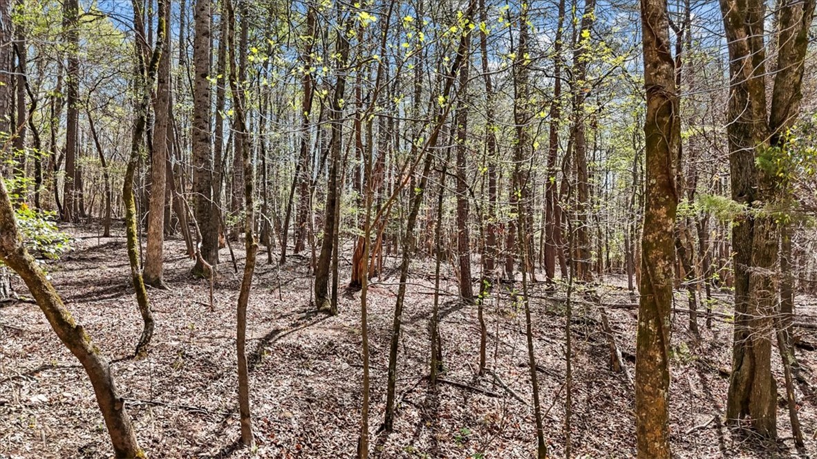 250 Meldau Road Seneca, SC 29678 - Photo 11 of 17 Gentle slope, perfect for building