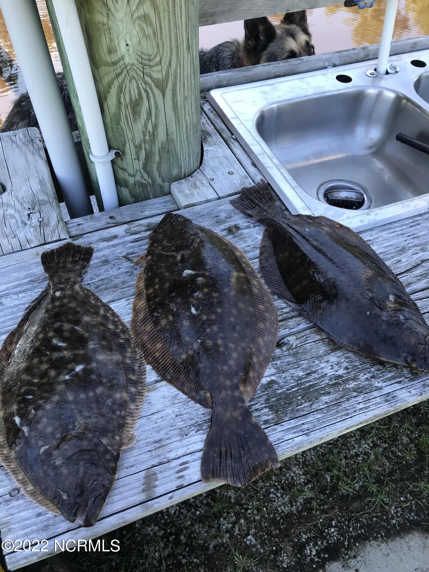 41320 Highway 264 Belhaven, NC 27810 - Photo 48 of 50 14320 US 264 Hwy And More Fish IMG_1378