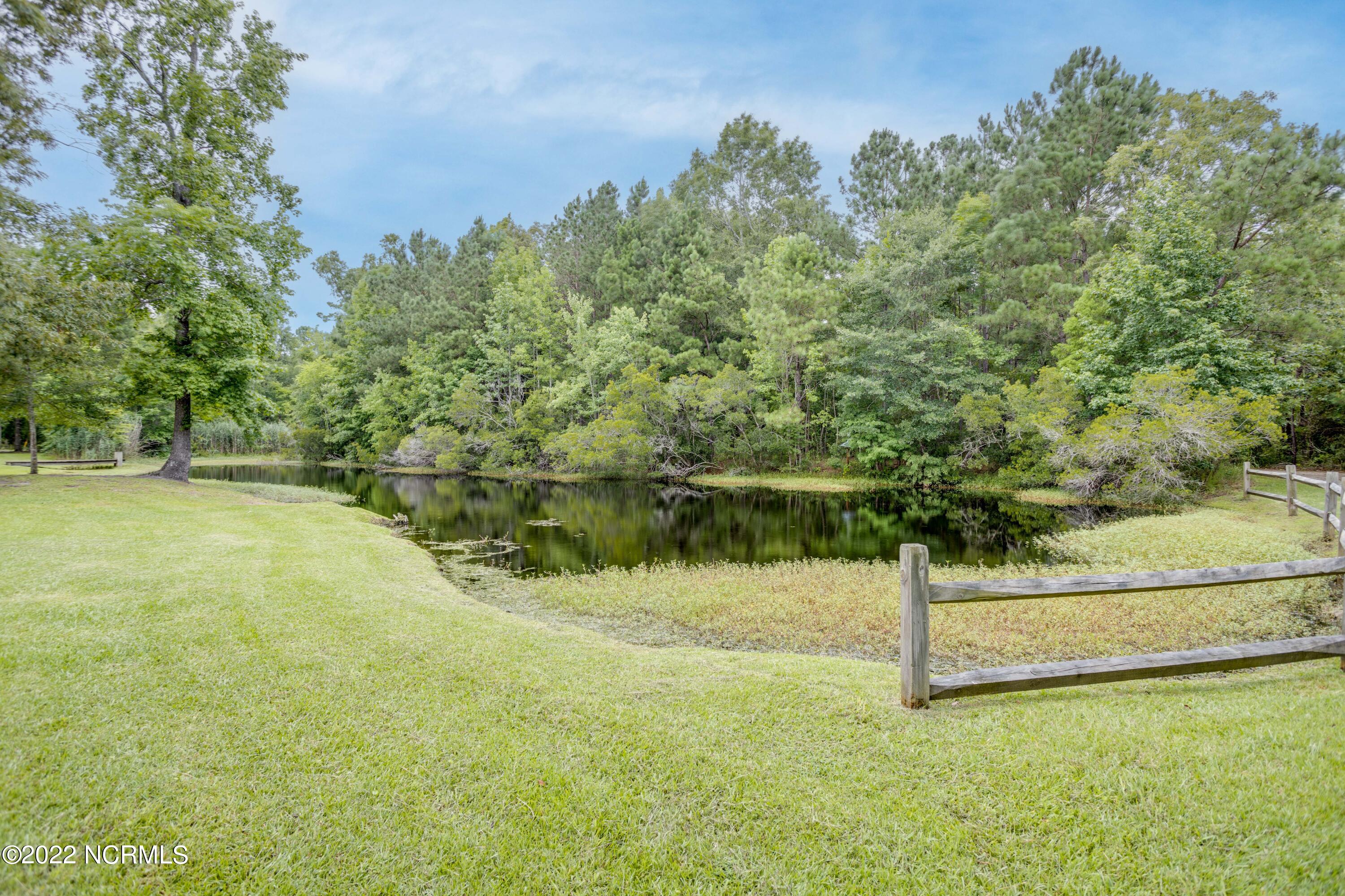 41320 Highway 264 Belhaven, NC 27810 - Photo 6 of 50 006