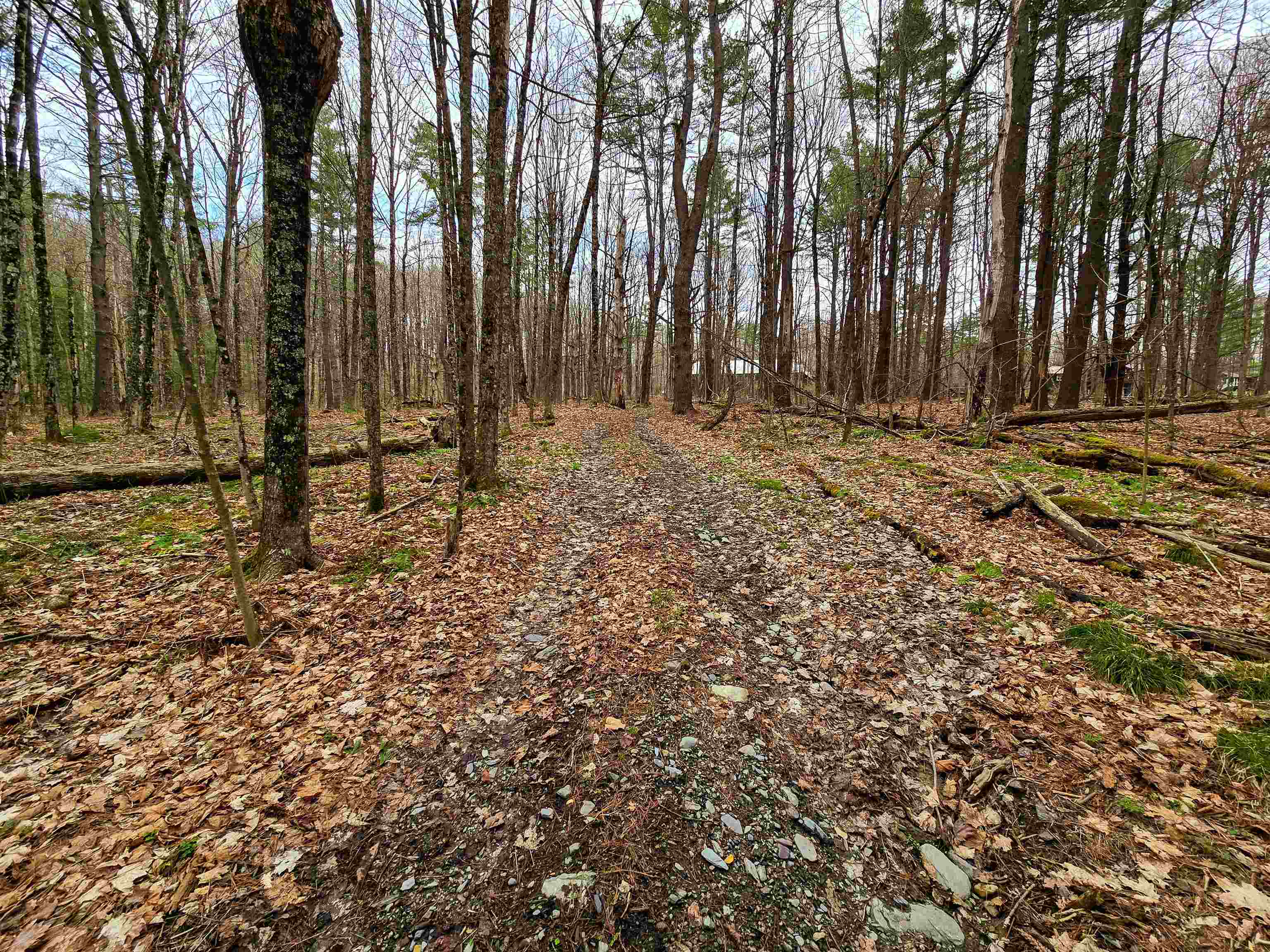 765 Camp Road Hubbardton, VT 05733 - Photo 11 of 38 Gallery Image 11