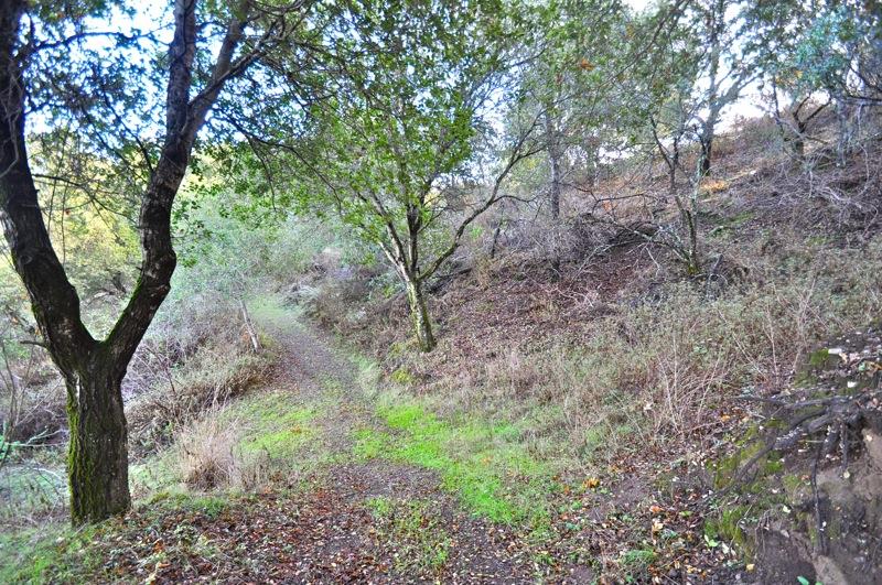 0 Mt Eden Road Saratoga, CA 95070 - Photo 18 of 27