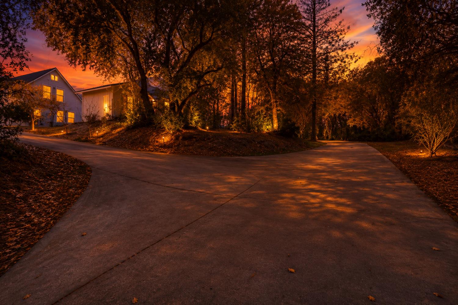83 Northfork Road Berry Creek, CA 95916 - Photo 54 of 56 a view of road with trees