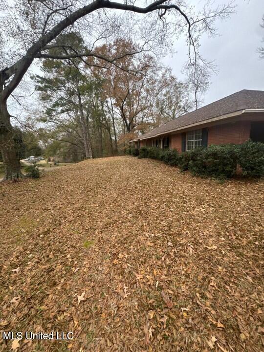 313 Magnolia Street Edwards, MS 39066 - Photo 2 of 11 Picture92