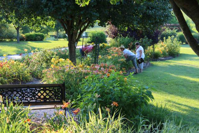 1822 Clara Mathis Road Spring Hill, TN 37174 - Photo 5 of 13 a view of a garden with wooden bench