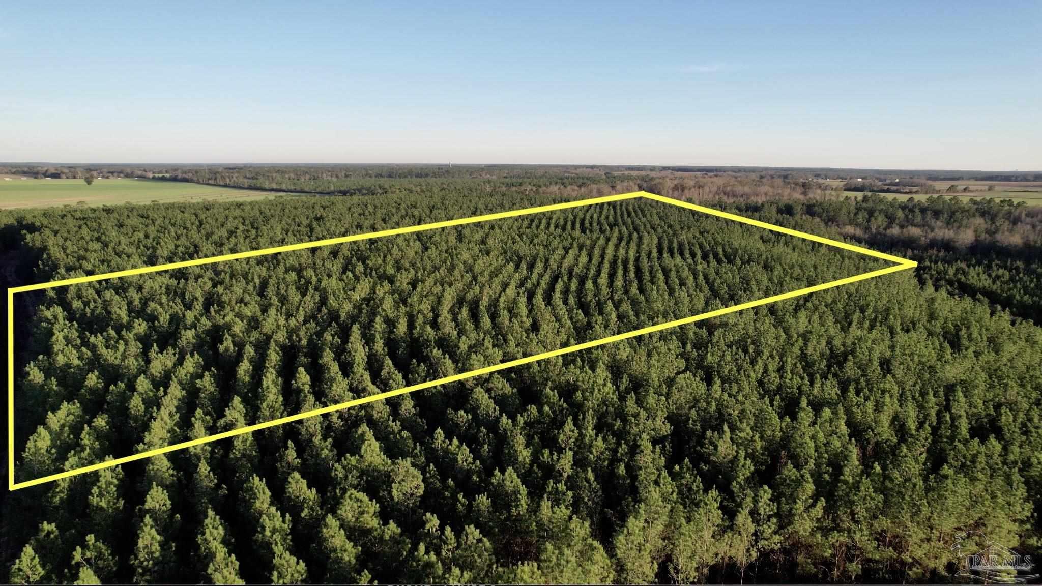 Lot 24-sw Bashi Road Pace, FL 32571 - Photo 2 of 26