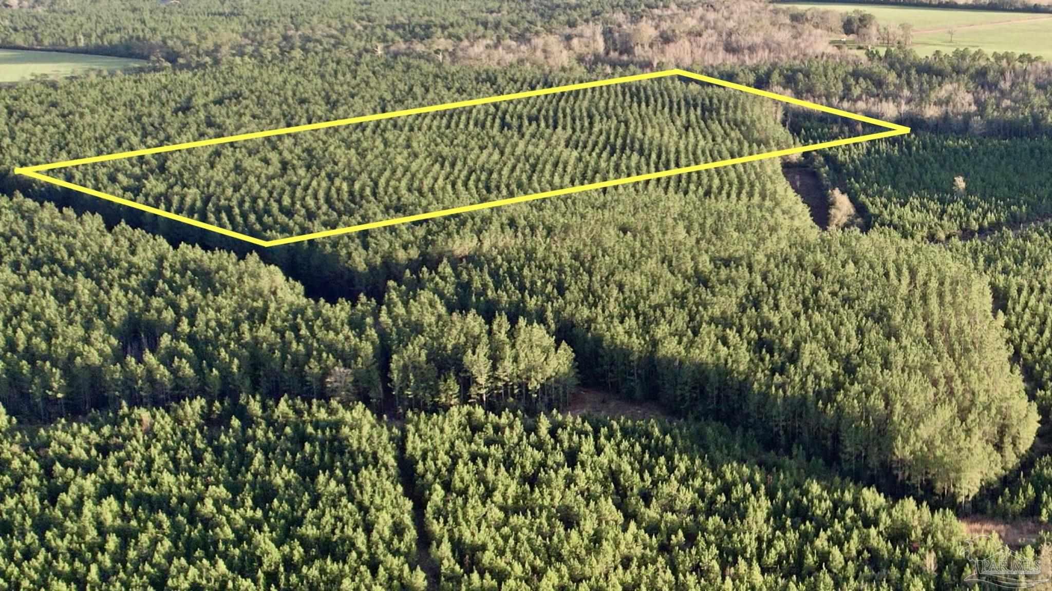 Lot 24-sw Bashi Road Pace, FL 32571 - Photo 3 of 26