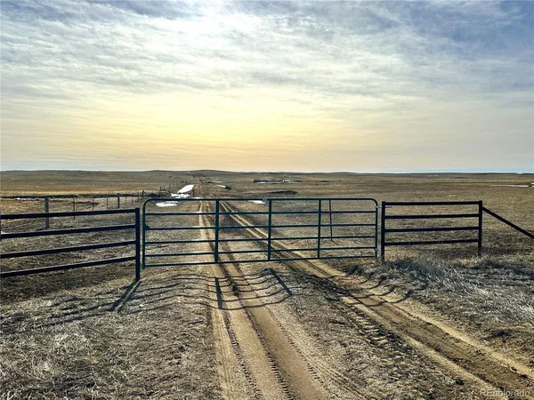 a view of a yard with wooden floor
