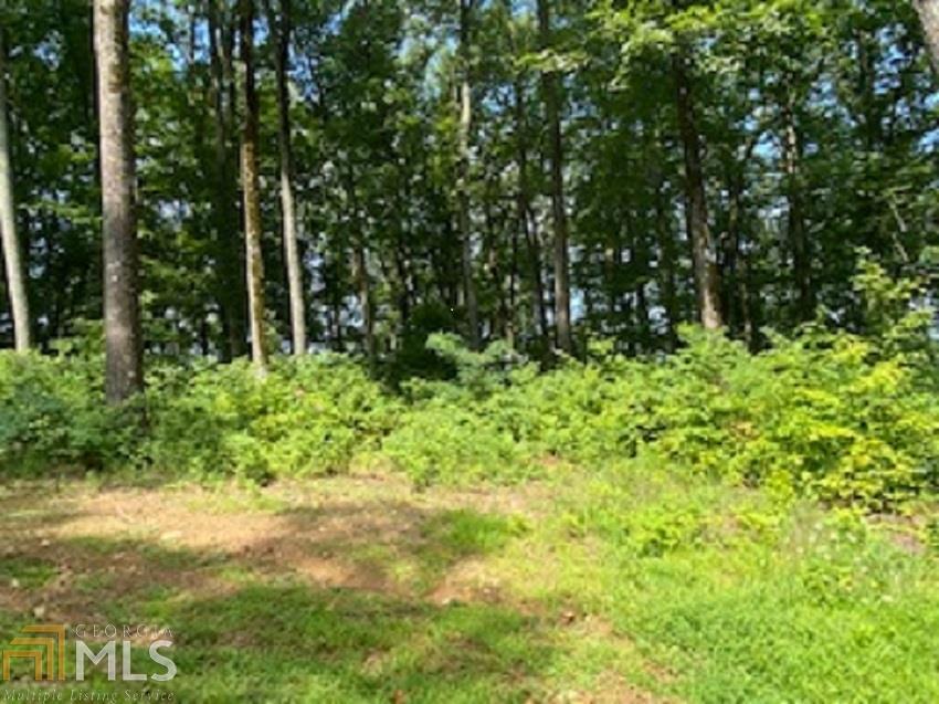 342 High Rock Trail Talking Rock, GA 30175 - Photo 1 of 1 Gallery Image 1