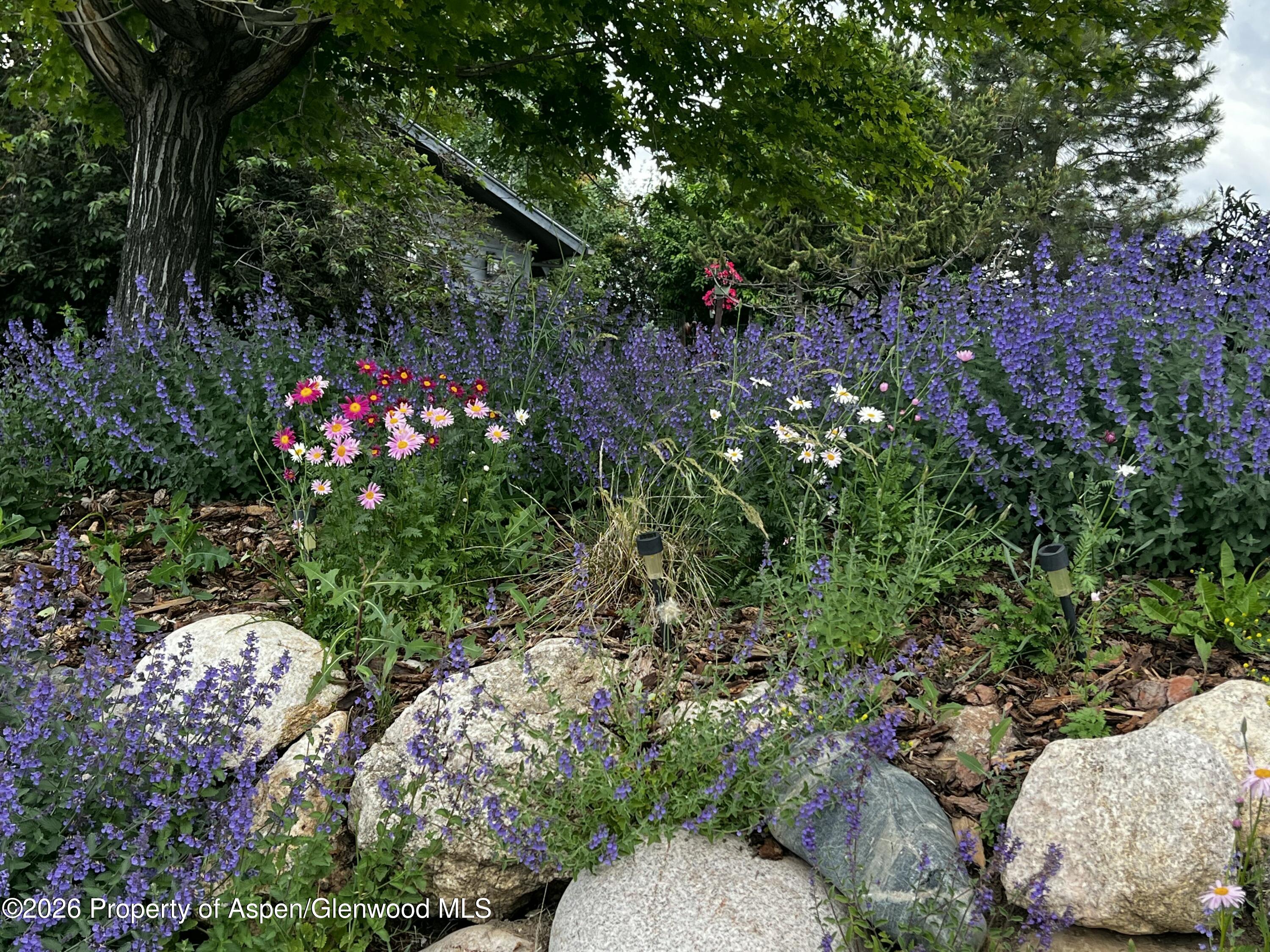 1040 Bryan Way Craig, CO 81625 - Photo 50 of 54 a front view of a house with a flower garden