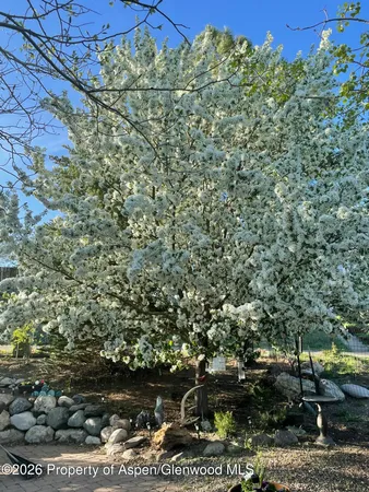 $585,000 | 1040 Bryan Way, Craig, CO 81625