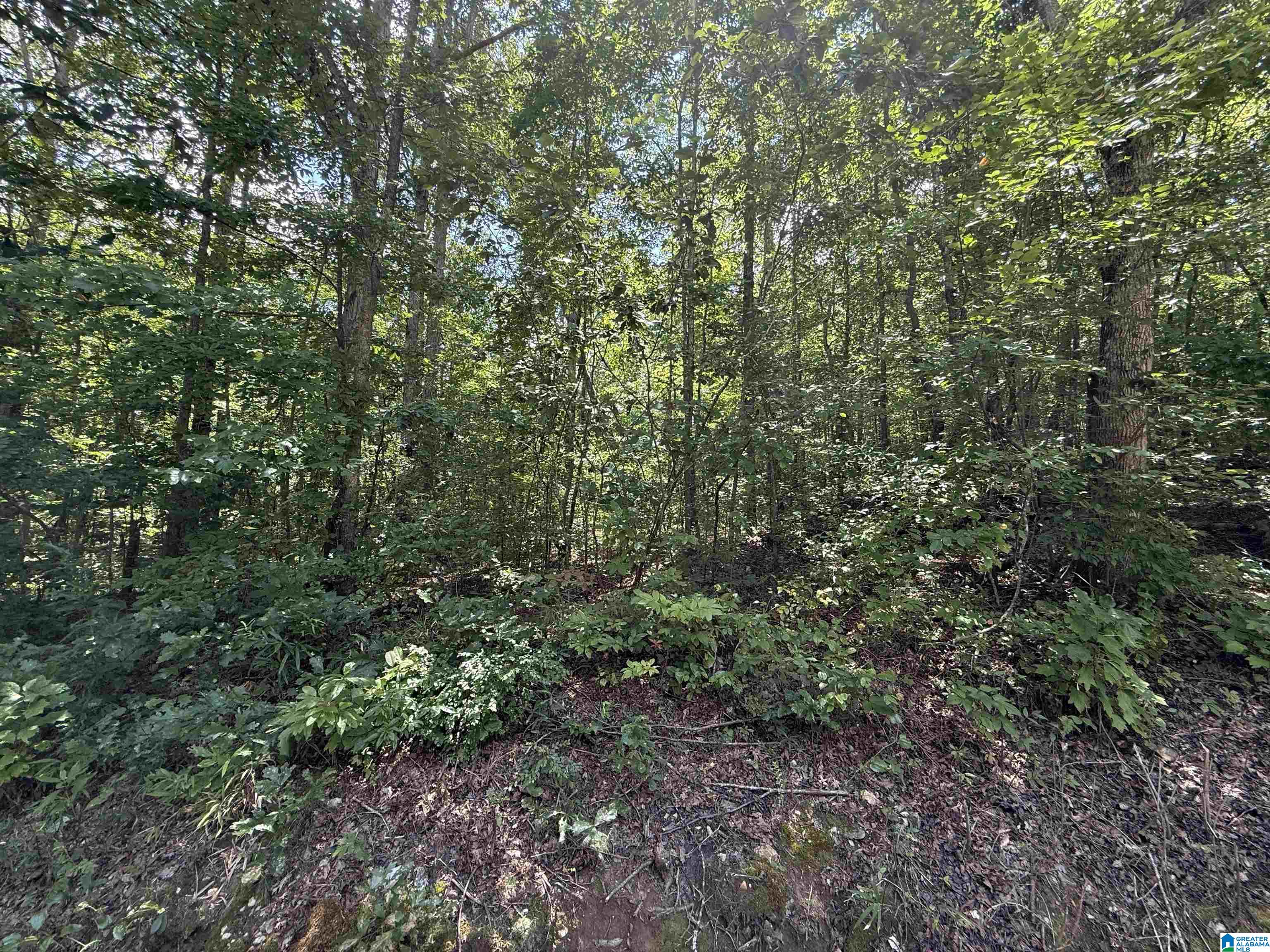 0 County Road 58, Unit 1 Wedowee, AL 36278 - Photo 4 of 5