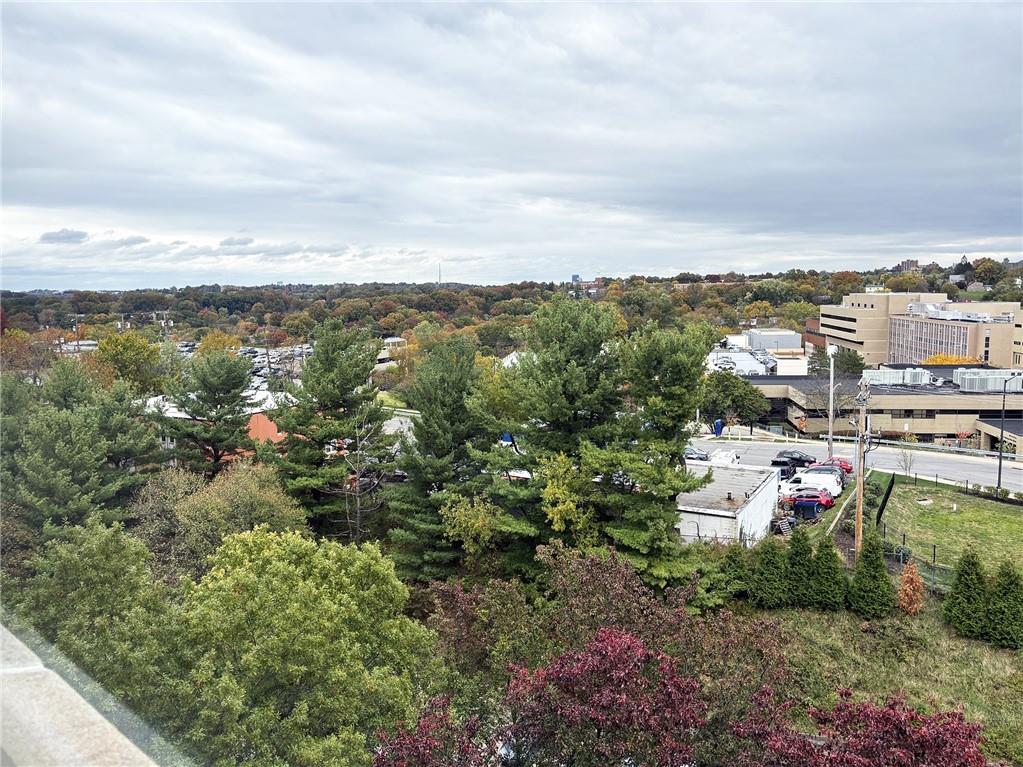 1160 Bower Hill Road, Unit 1101B Pittsburgh, PA 15243 - Photo 6 of 33 a view of a city